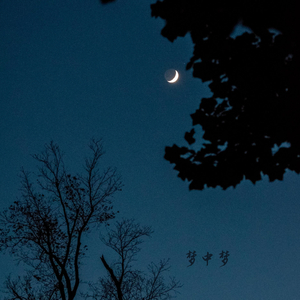 洞庭赊月色 (古筝)