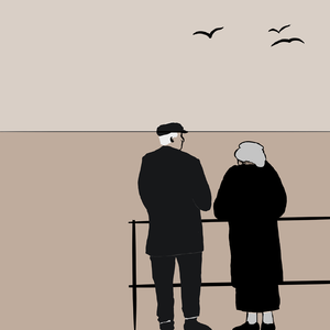 只是会可惜(翻唱)