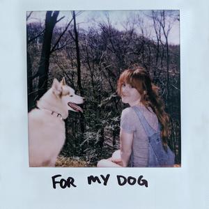 For My Dog