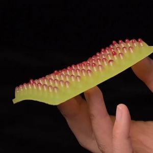 翻车！软体触觉皮肤实验-仿生多肉