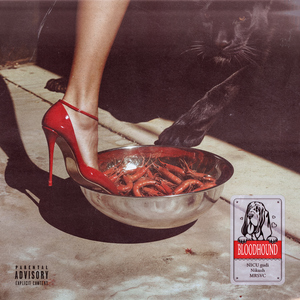BloodHound (feat. Nikush)