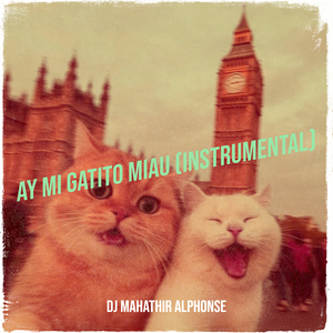 Ay MI Gatito Miau (Instrumental)