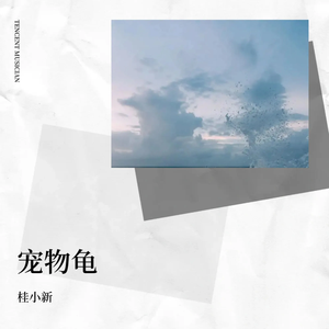 宠物龟