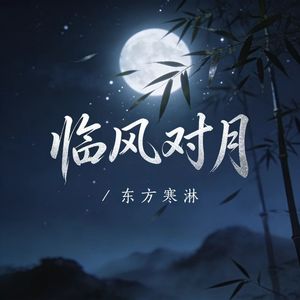 临风对月