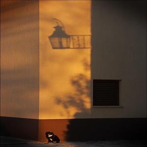 서정 소곡집 1권, 작품번호 12: 1번, 아리에타 (피아노 플레이리스트의 피아노를 위한 편곡)