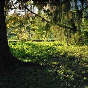 пропущенный звонок