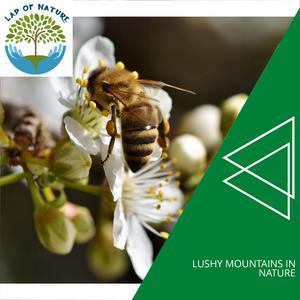 Twisting Mountain Rocky Wind Steady