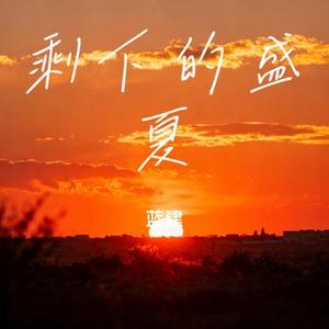 剩下的盛夏 (Cover TFBOYS & 嘻游记)