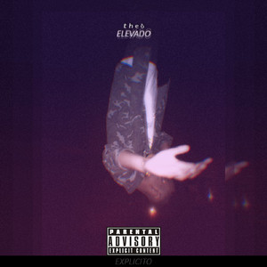 Elevado