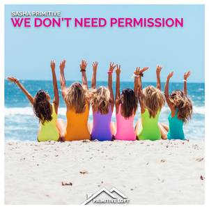 We Don't Need Permission (Extended Mix)