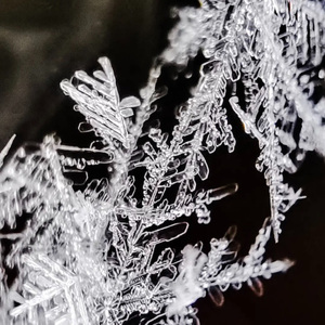 喃（Prod. EVOMUSIC）