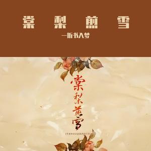 棠梨煎雪（纯音乐）