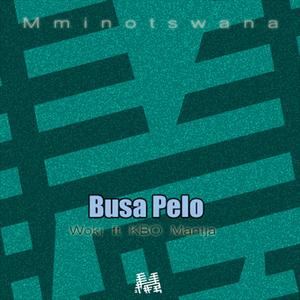Busa Pelo (feat. KBO Mantja)