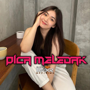 Pica Meledak (Party Gacor)