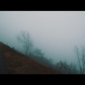 君の脈で踊りたかった（翻自 初音ミク）