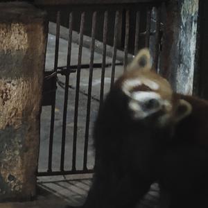 遗憾（Cover 李代沫）