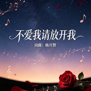 不爱我请放开我