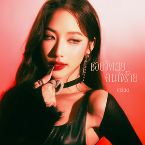 ชอบจังเลยคนใจร้าย