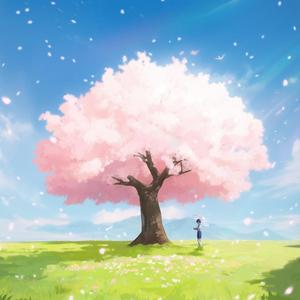 세상에서 가장 큰 벚꽃이 피는 마을