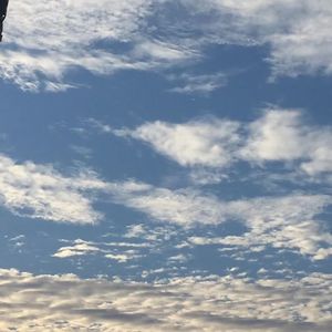 春娇与志明 (热搜版) 街道办