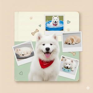 깜찍 발랄 브이로그 배경음악2