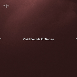 Relaxing Mountain Streams