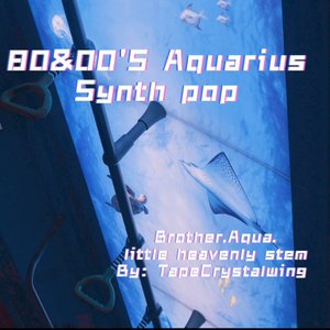 兄贵Aqua小庚