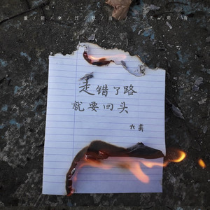 走错了路就要回头