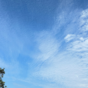 世界纷纷扰扰不停