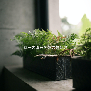 Subtle Ambiance for Heat Waves