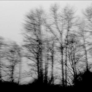 Talk 2 You (feat. Veohuh)