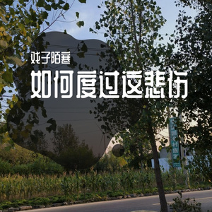 盼君归来君未归（0.8X）