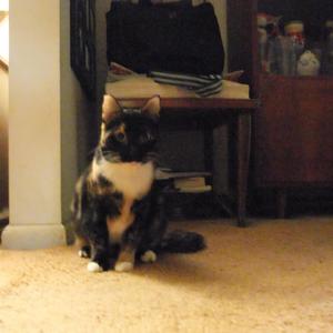 we rule in this life :D