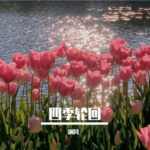 飞过世界的每一个角落