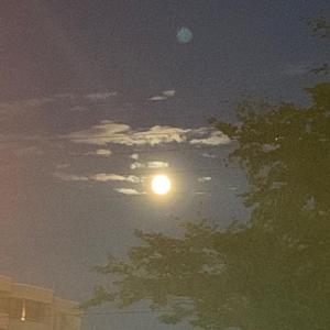 Dream’s Dealer（prod. by 朝阳王祖贤）