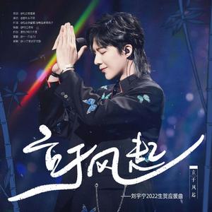 立于风起（刘宇宁原创生日应援曲）