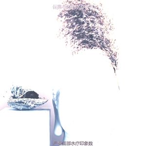 一尘不染裹体印象数