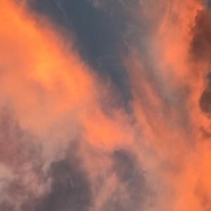 Check Up (feat. Mally Bandz)