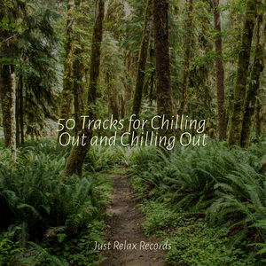 Deep Reflections Below