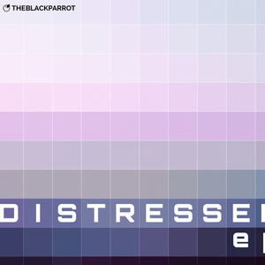 Haven (Zapper the 3L3CTR1FY1NG Remix)