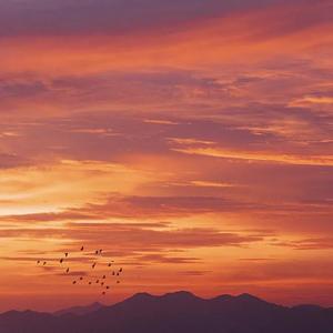 【free】情歌 type beat 晚霞可真美