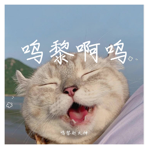 西安是座青春城