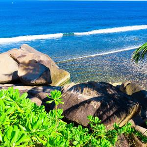 勇敢的小萝卜(4)