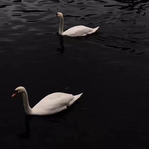 Billie Jean（EGRET & Miracle Remix）