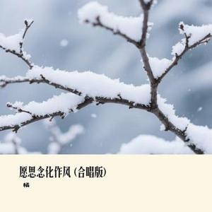 愿思念化作风   (Cover 向思思)