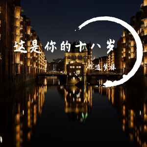 Mc楚新-这是你的十八岁 (1)（MC追梦林 Remix）