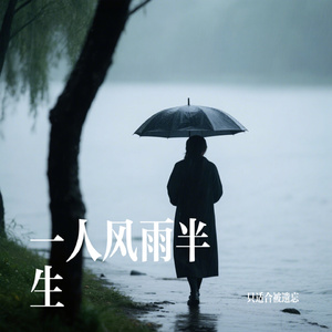 一人风雨半生