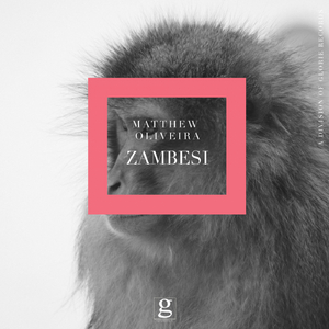 Zambesi (Radio Edit)