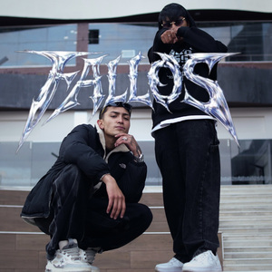 FALLOS