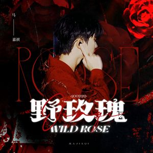 野玫瑰